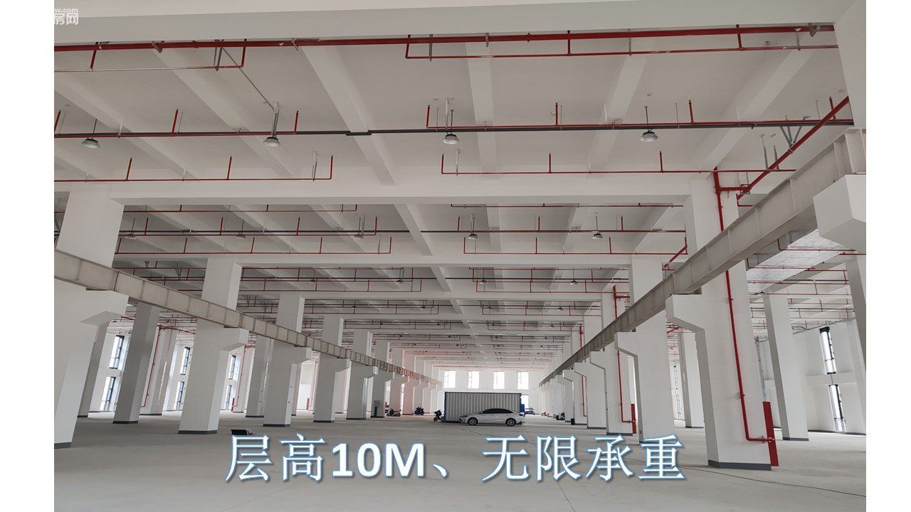 江北新区高标准厂房出租 - 2