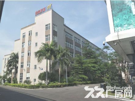 海沧区海景东路5层厂房480-2800平招租 - 2
