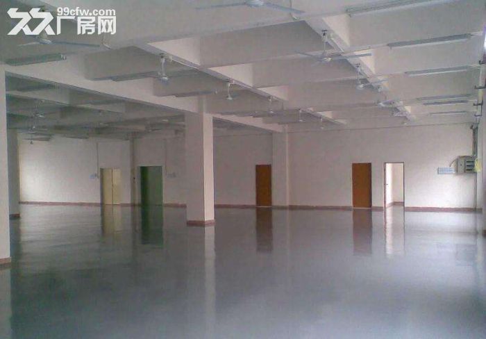17.禄口.1到2楼7000平米.共两栋.标准厂房.层高5米.有货梯.客梯.独院 - 3