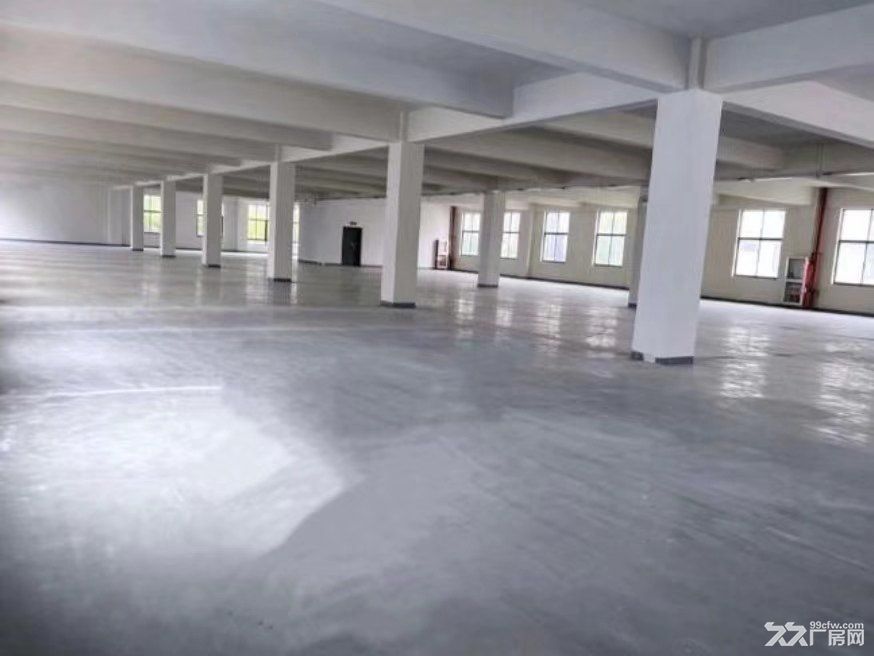 松江新桥工业区104地块厂房出租,1300平独立层面,500平方米起租 - 4