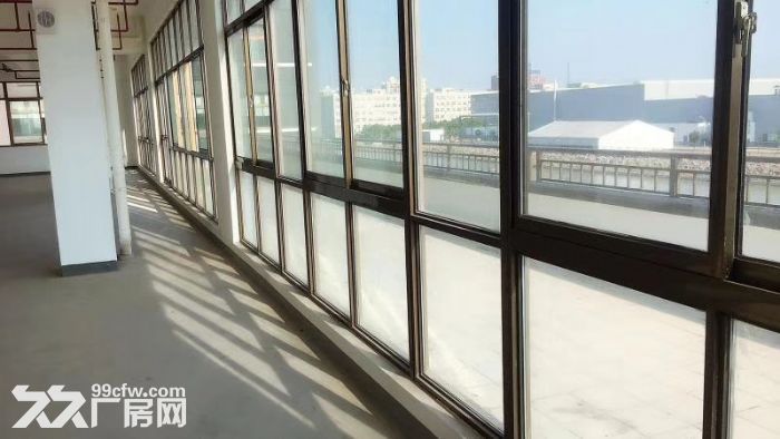 向阳路104园区高标准的研发、展厅仓库 办公轻加工 - 3