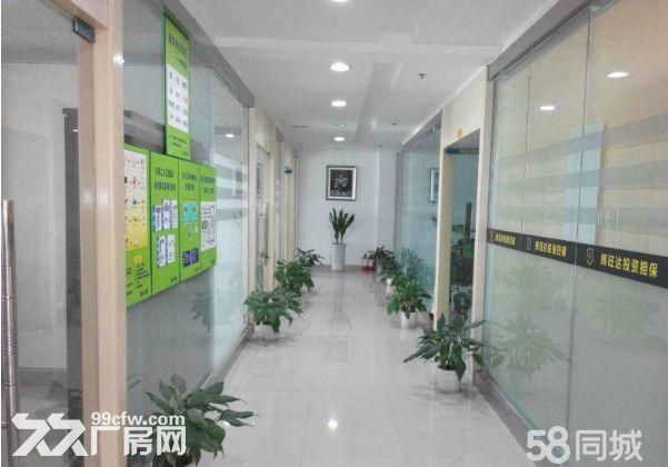 龙岗盛平工业园300平米至1200平米出租 - 3