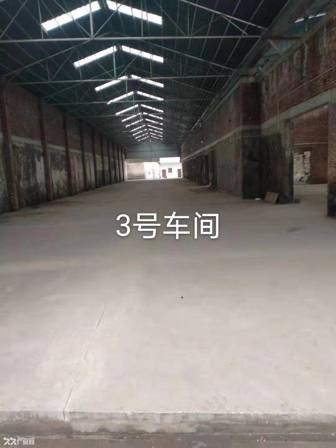 3个各1000平米标准厂房低价出租 - 5