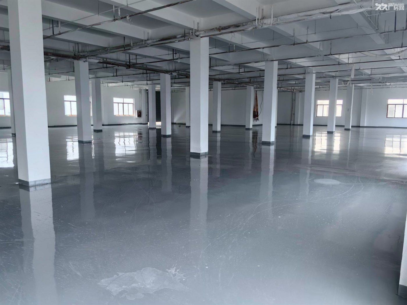 房东出租::园大路独门独院全新厂房 500起分 配套办公宿舍绿证无公摊 - 8