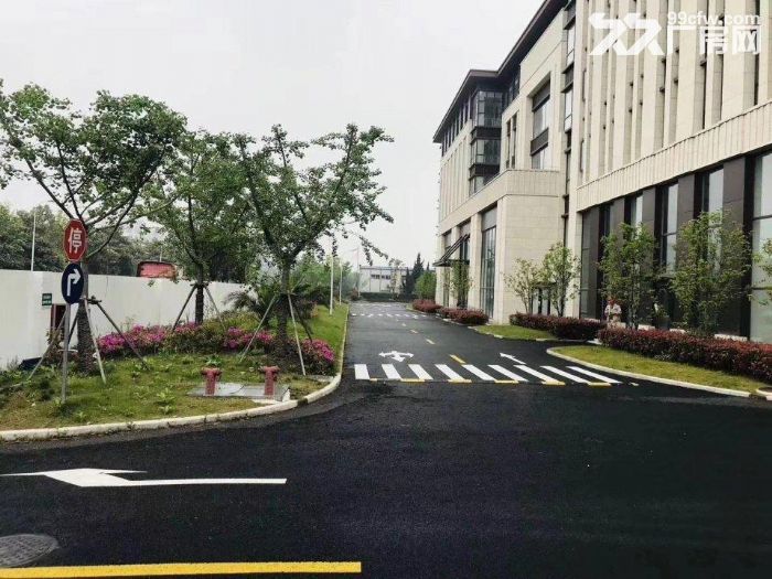 上海外高桥自由贸易试验区全新独立园区整幢招租 - 6
