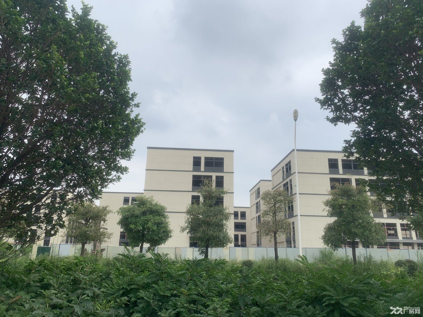 一手标准厂房准现房，50年独立产权可分层和双拼，面积800-6000平 层高8米 - 4