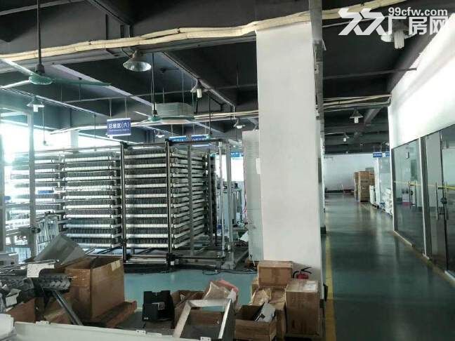 光明新区松白路 楼上整层厂房出租2100平 精装修 原房东 - 4