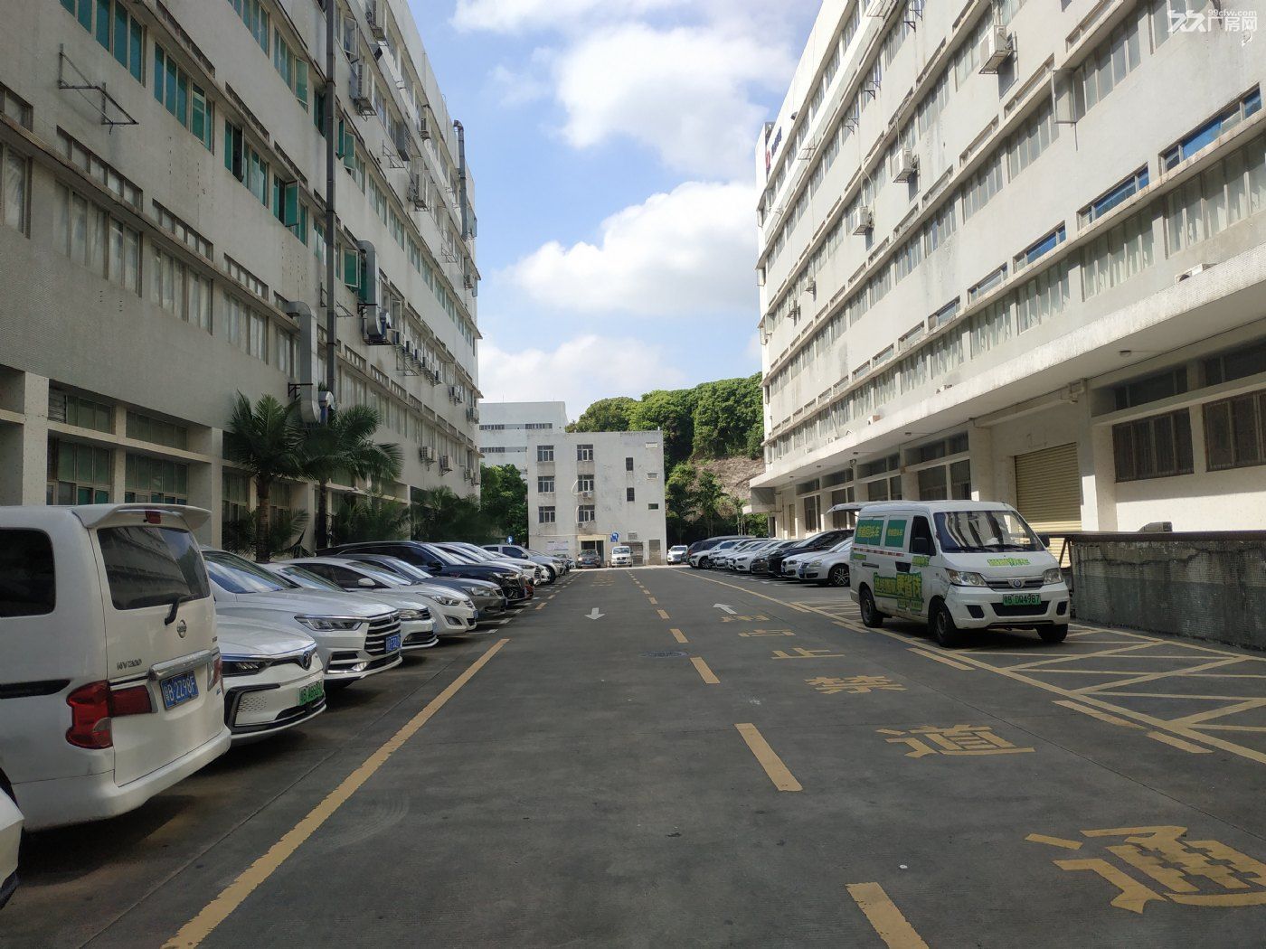 西丽大学城地铁口现成850平摄影文化传媒场地直租 - 3