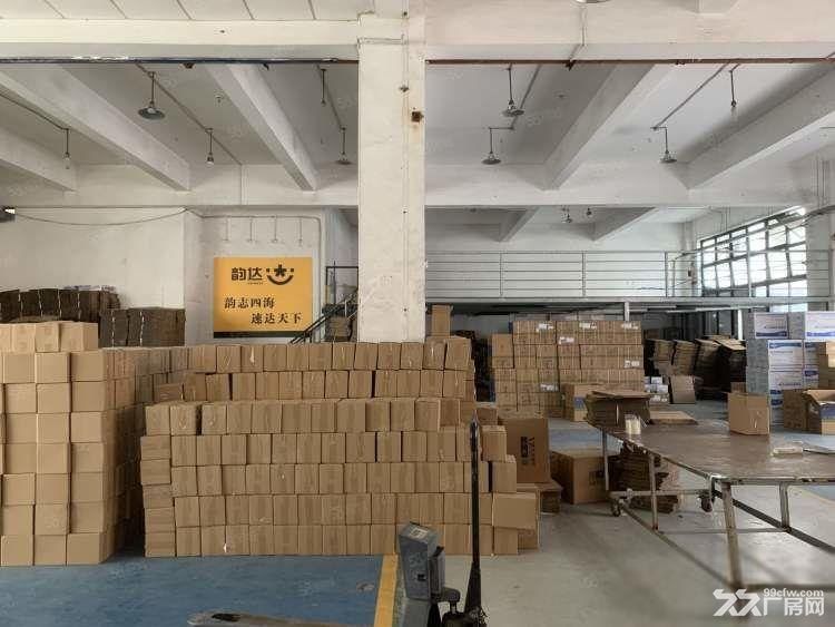 康桥550平层高5.5米 业主直租 独门独院 低租金 近地铁 - 2