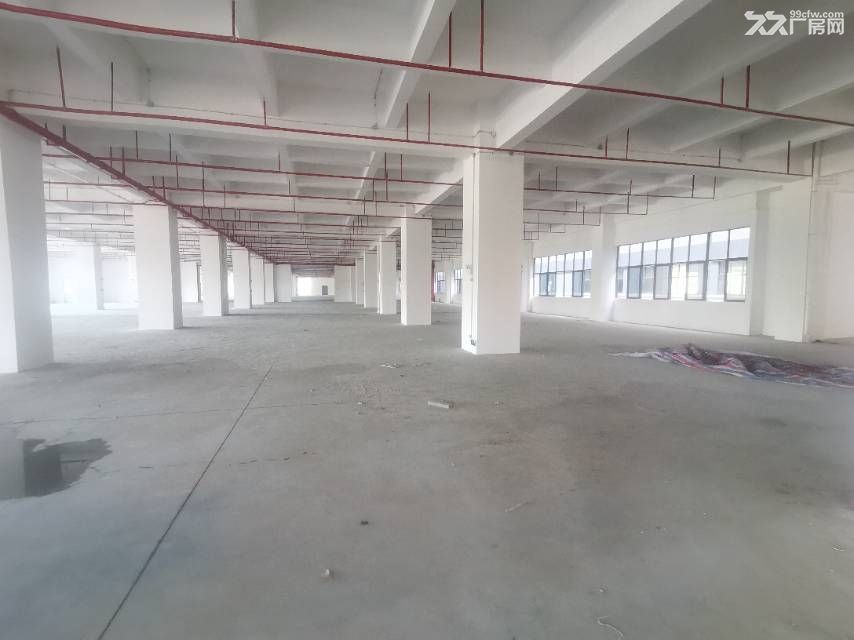 寮步新出原房东新建重工业全新独院价格超低 - 8
