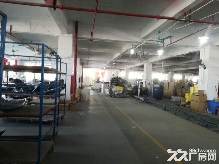 龙江西庆有一厂房出租 - 3