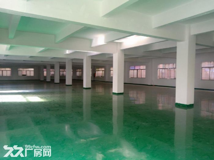 平湖上木古宝工业区,2万平方大型红本厂房出租大小可分200平方起租 - 2