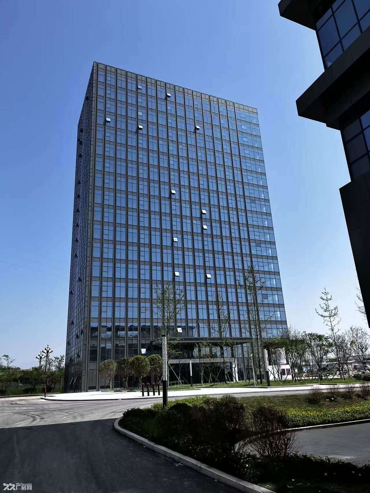 奥体中心对面,标准厂房1375平招租,可以整租可分租 - 4
