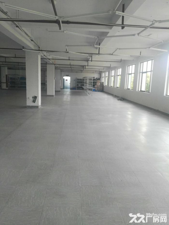 滨江长河600方出租，适合服装仓储办公等 - 5