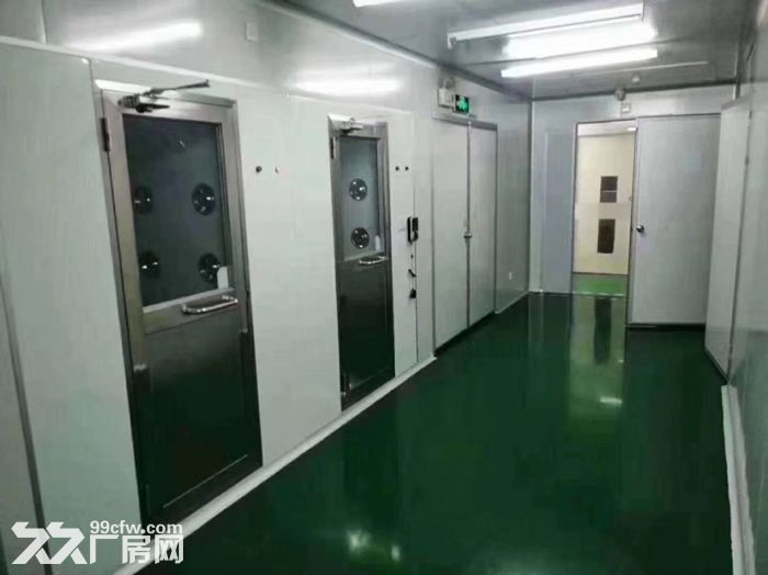 龙华大浪商业中心附近无尘车间1800平招租，红本厂房，无转让费 - 8