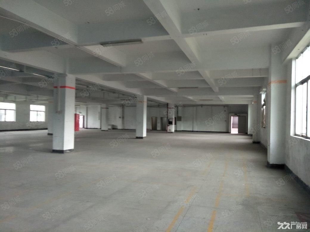 低价出租坎墩工业区厂房 - 3