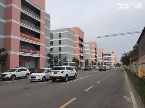 青网科技园90-3600平厂房 - 4