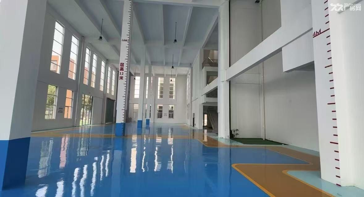 独栋花园厂房 温江旁二绕旁 独立产权全新厂房 - 5