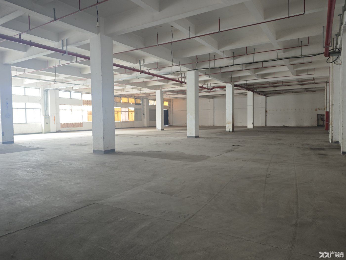 宣桥南芦公路1000平标准厂房出租 - 5
