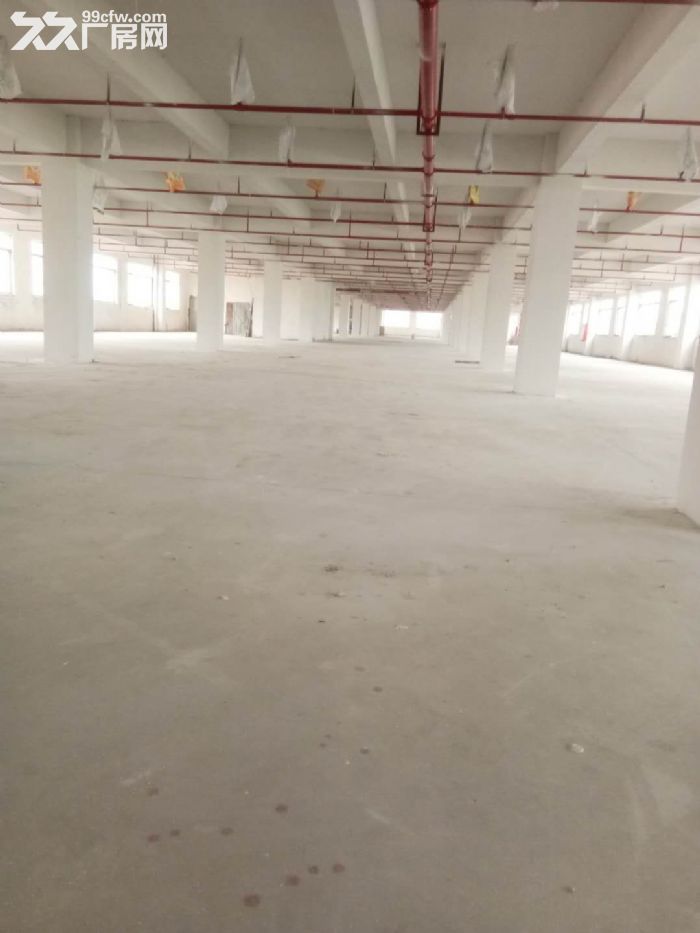 台山有排污指标厂房8000平方出租，可分租 - 7