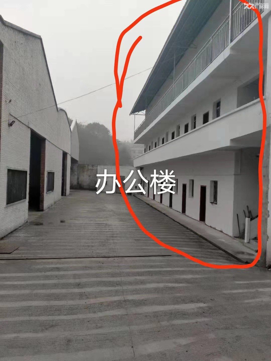 3个各1000平米标准厂房低价出租 - 4