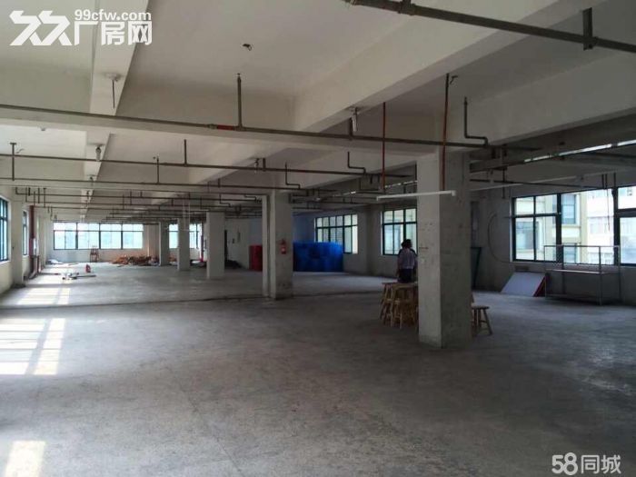 瓯海仙岩工业区厂房出租3000平 - 4