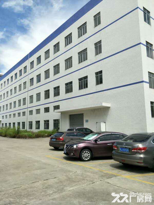 专业代理江门各区厂房招租 - 3