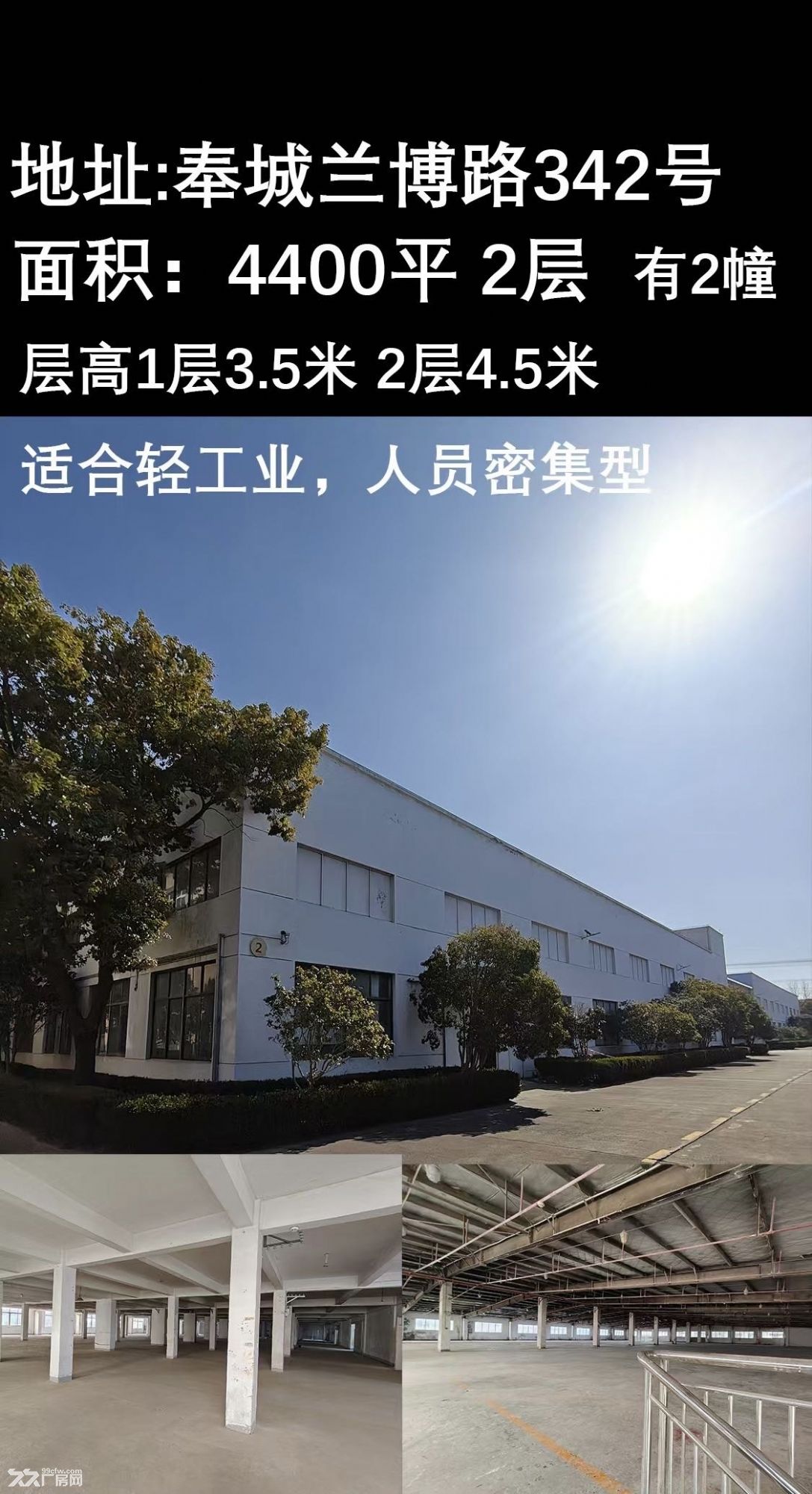 标准厂房,房东直租,价优! - 7
