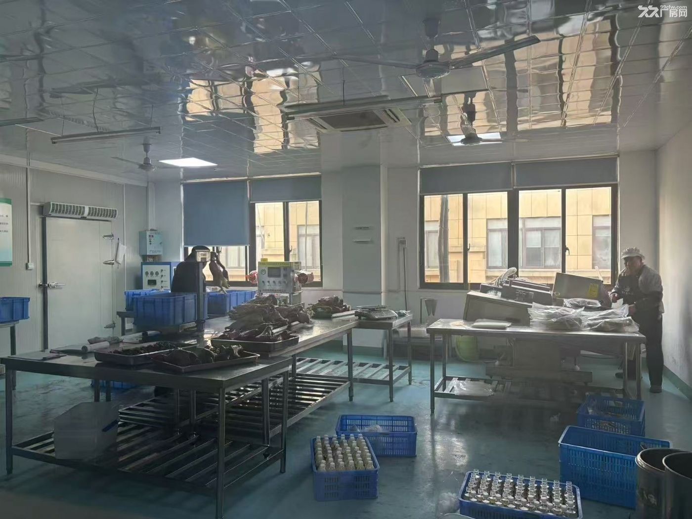 长丰双凤工业园金蓉路954平食品厂设备转让或出租 - 2