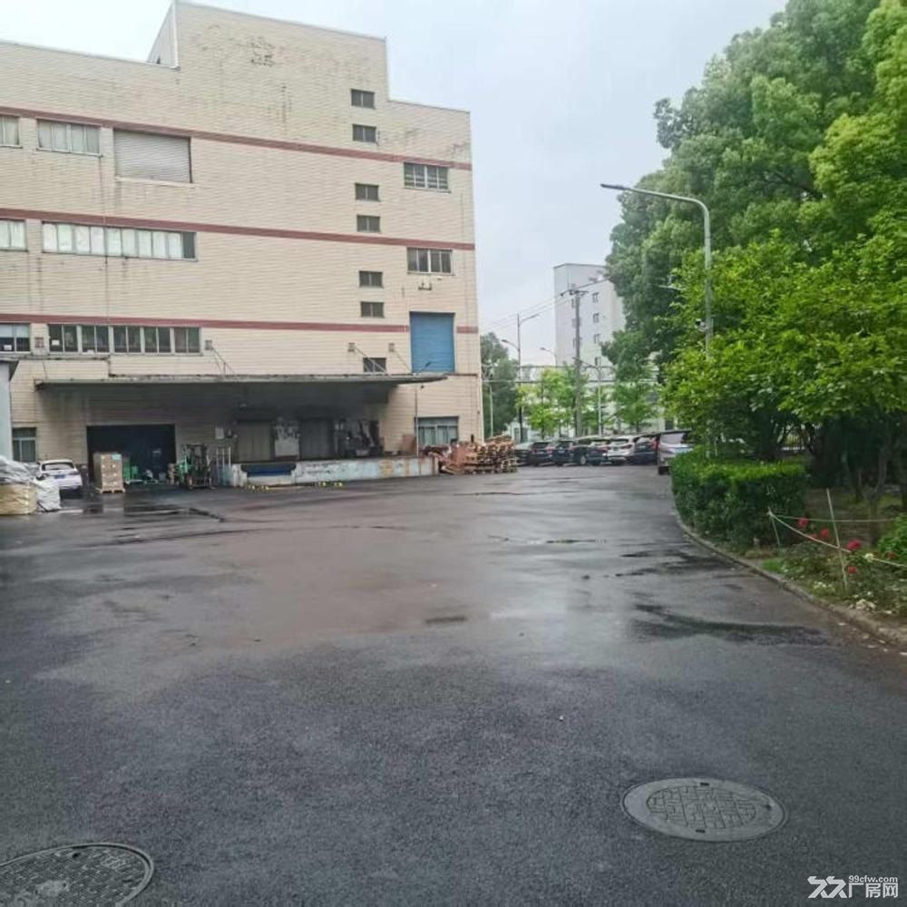 出租浦东自由贸易区外高桥片区工业厂房库房（一层起租） - 4