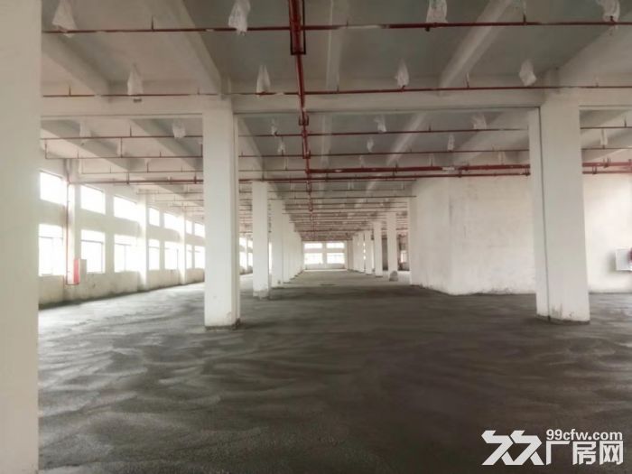 台山工业新城二次消防喷淋全新独门独院厂房1-2层出租 - 5