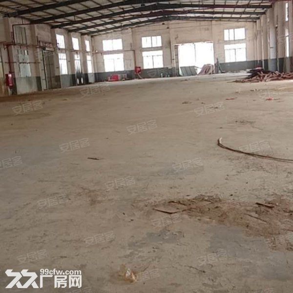 江门新会司前独院工业园厂房30000平方招租,可分栋出租 - 4