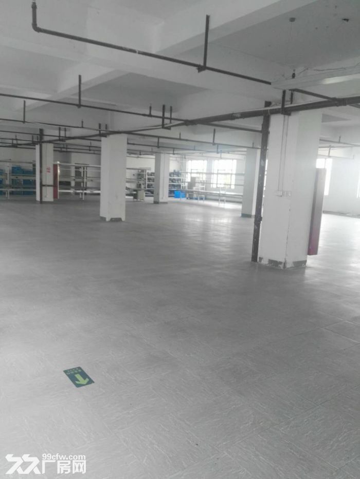 滨江长河600方出租，适合服装仓储办公等 - 3