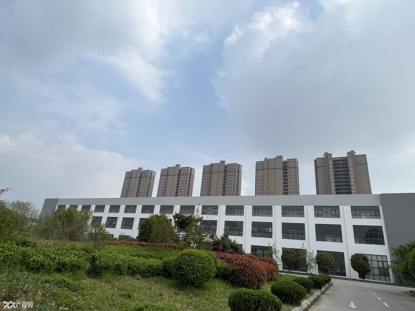 大面积标准化厂房 招租