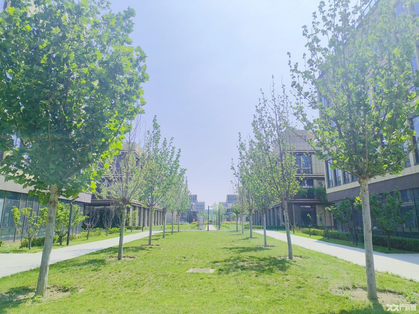 康复医院 医疗器械研发生产 研发楼 厂房 - 6