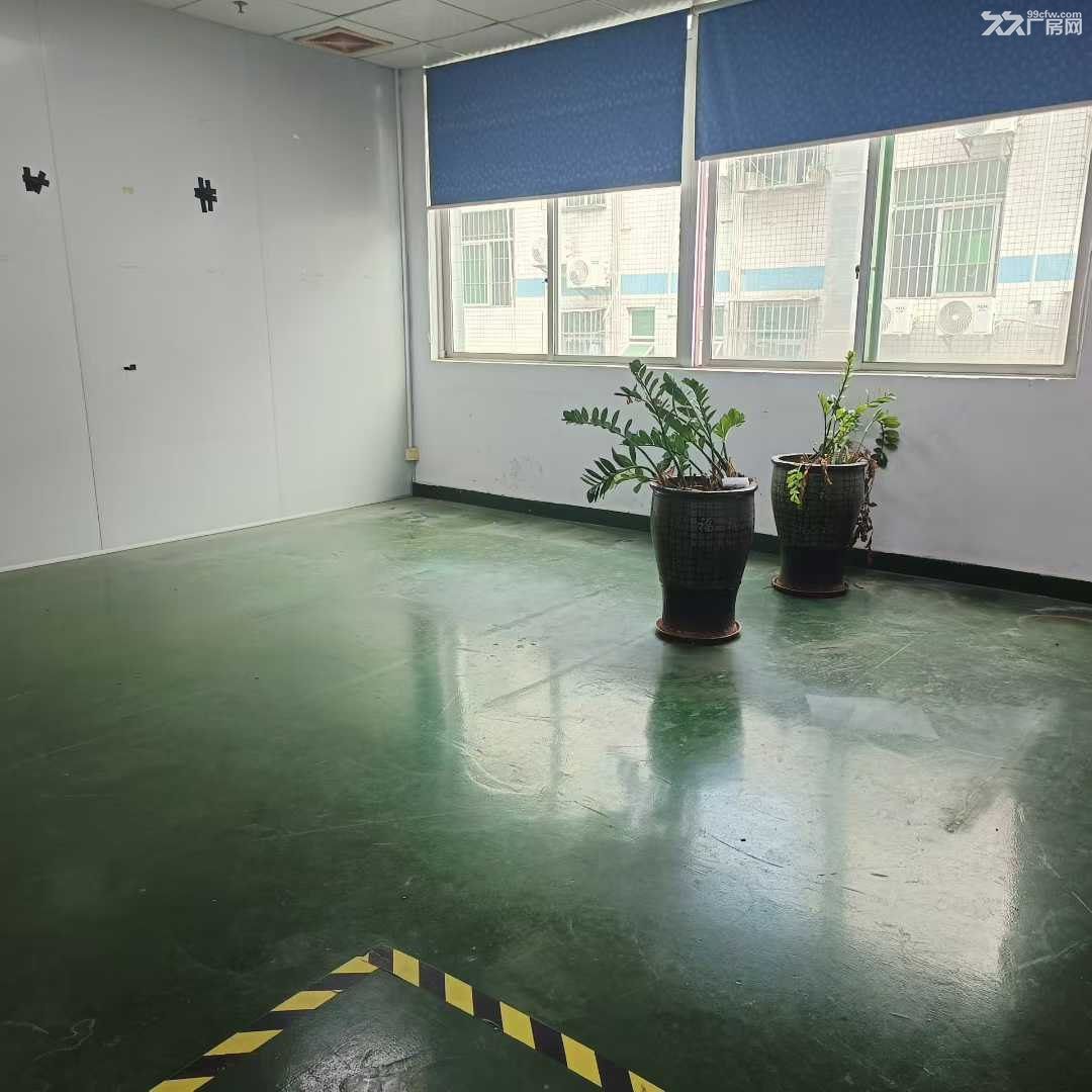 深圳龙华科技园精装修厂房800平米出租 - 5