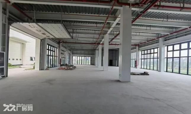 松江洞泾新建23000平高标准厂房出租，可分租 - 2