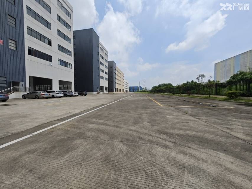 黄埔区云埔街道园区独栋单层2208平方带卸货高台 - 3