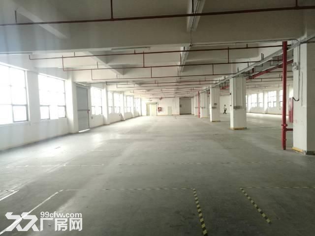 光明新区公明,独院3层标准厂房3000平,超大空地,离高速口1公里 - 4