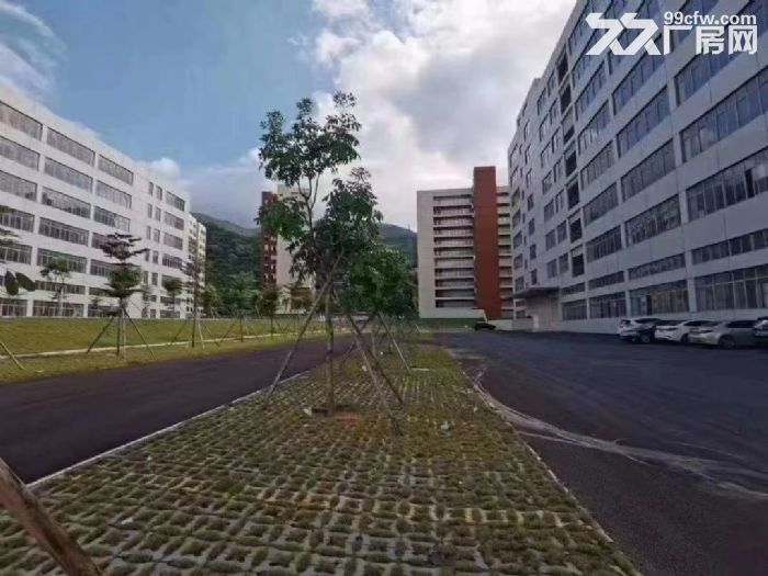 清溪全新红本工业园总面积13万平米招租 - 2