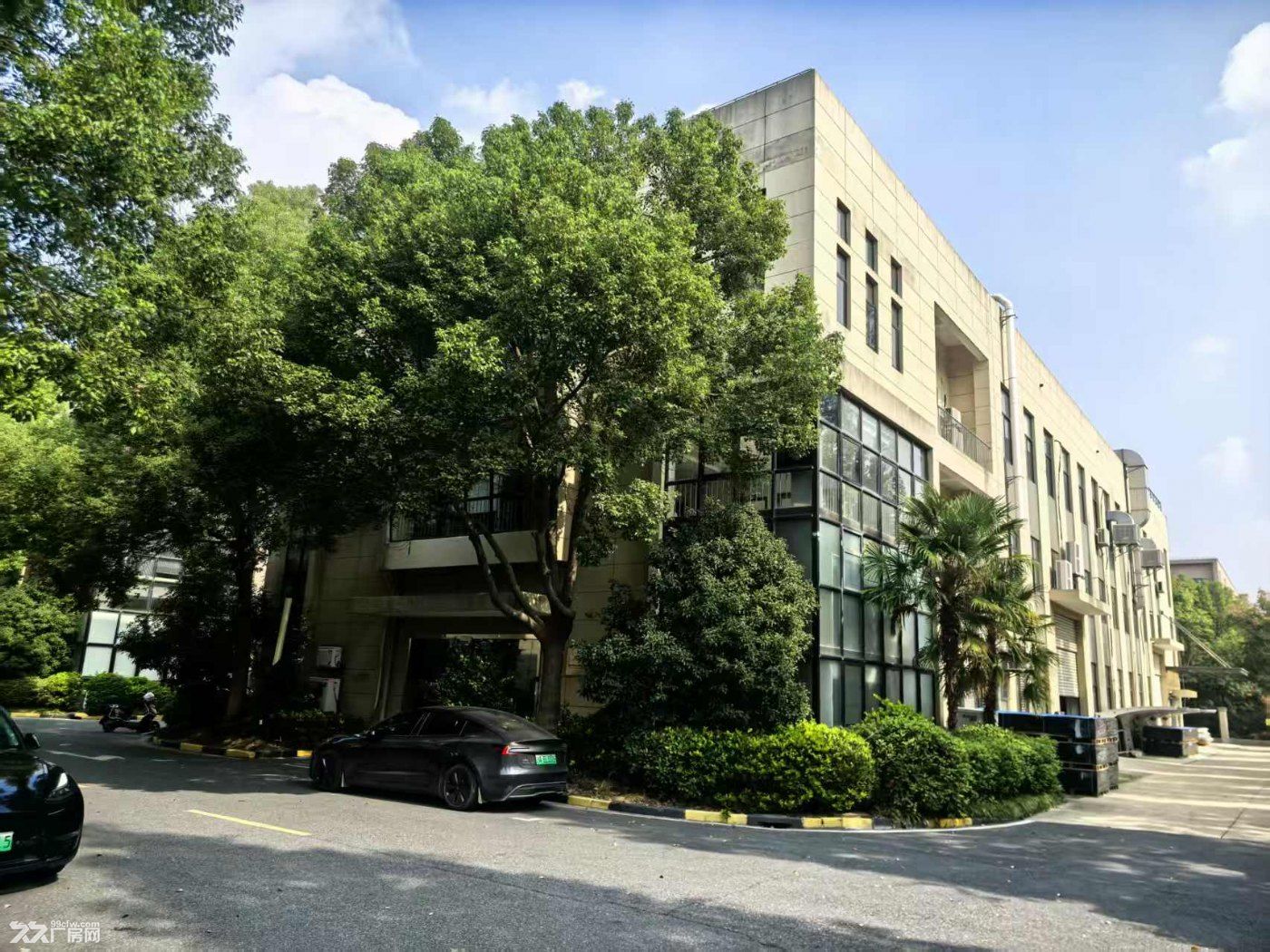 园区独栋厂房 近东方美谷园区 靠近S1503高速浦卫公路出口2公里 - 3