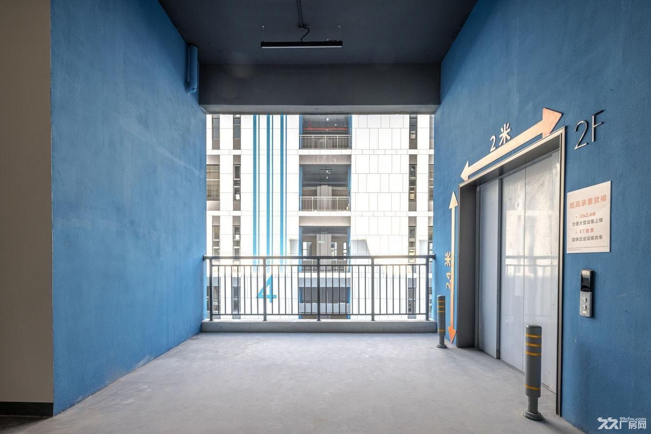 上海市马桥镇人工智能创新试验区 - 2