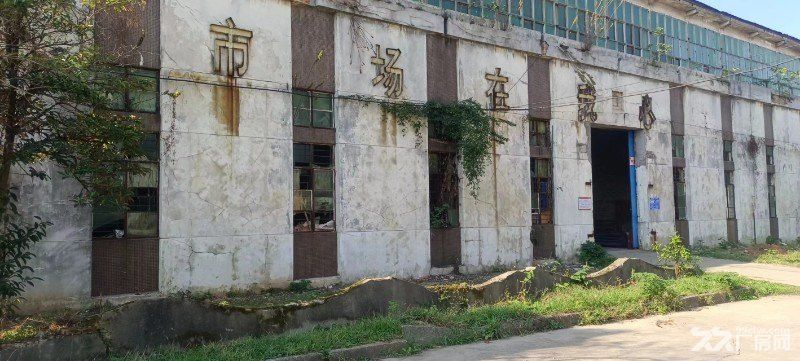 扬子洲厂房和空地出租(租金可提供发票) - 2