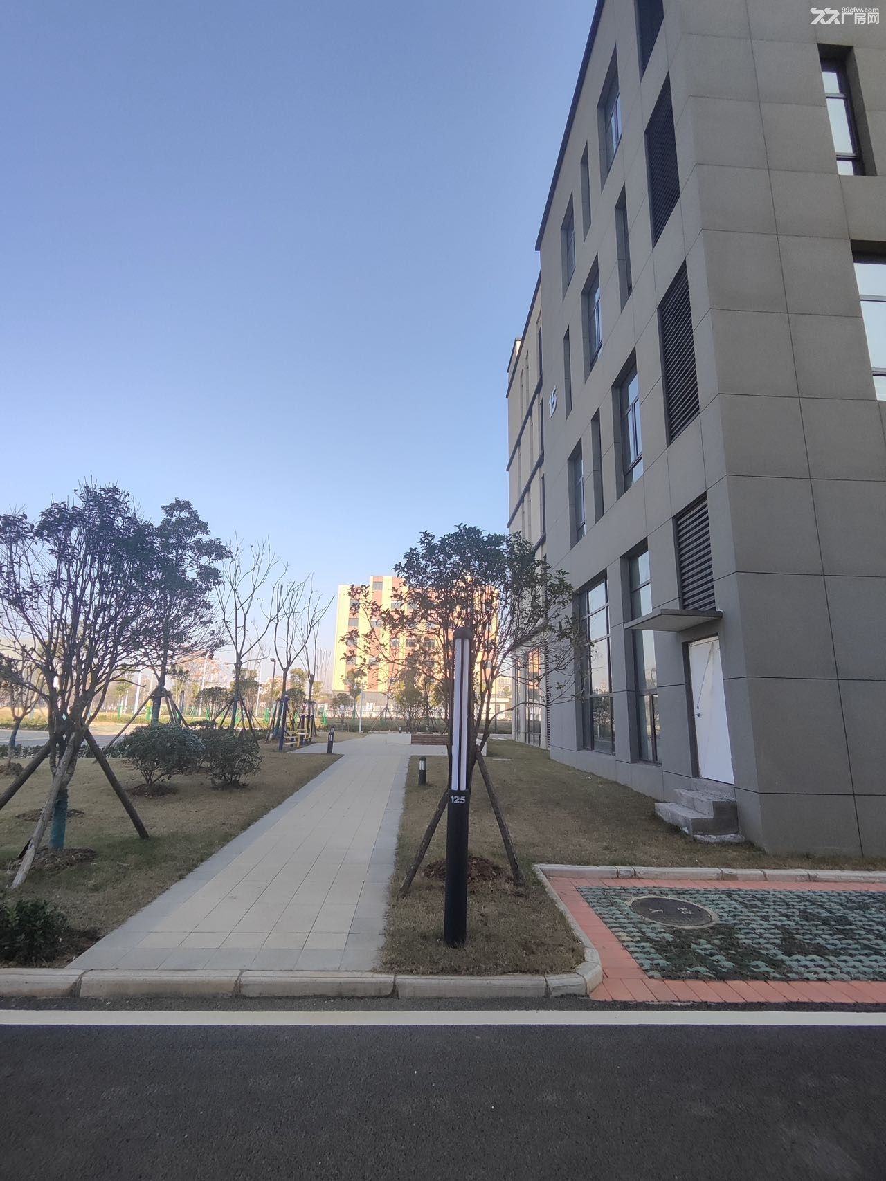 国企开发4600平独栋 出租出售低首付可办环评 - 2