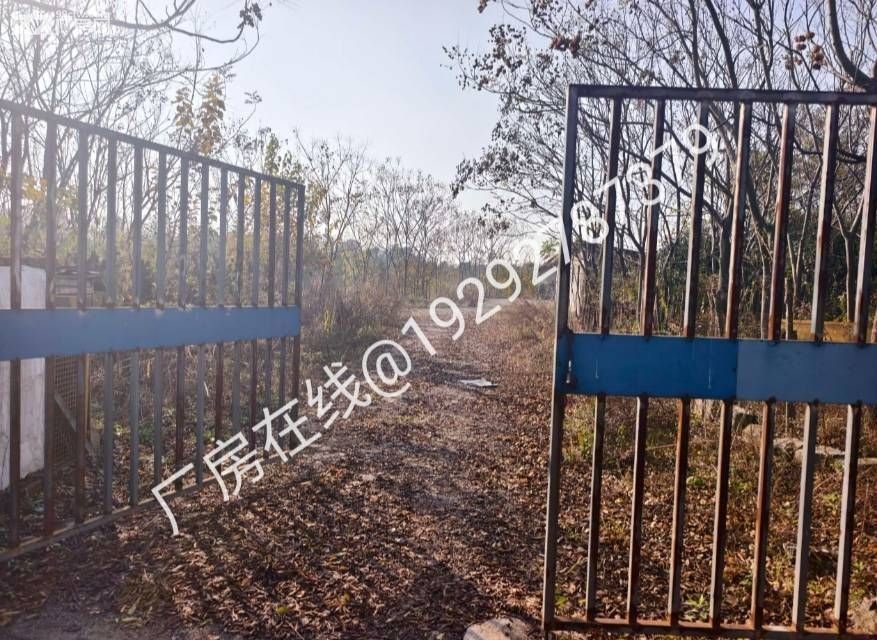 江夏东湖高新独门独院，院内空地充足，方便车辆进出与货物堆放 - 4