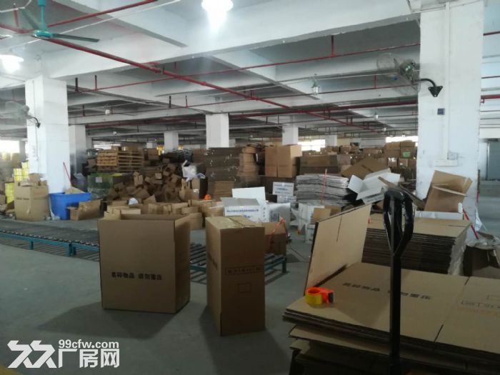 龙江西庆有一厂房出租 - 4
