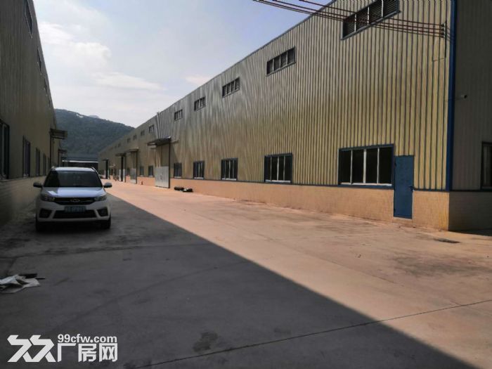 出租开平市水口3000平方独院单一层钢结构厂房 - 5