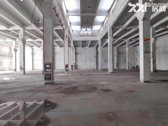 A胜浦单一层3040平标准厂房 可架行车 有独立门厅 - 4