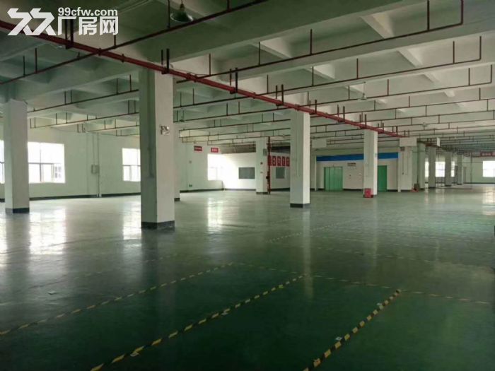 专业代理江门五邑地区各式厂房土地租售业务 - 3