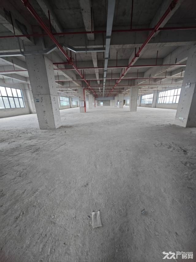 博罗全新7000㎡独栋厂房 - 3